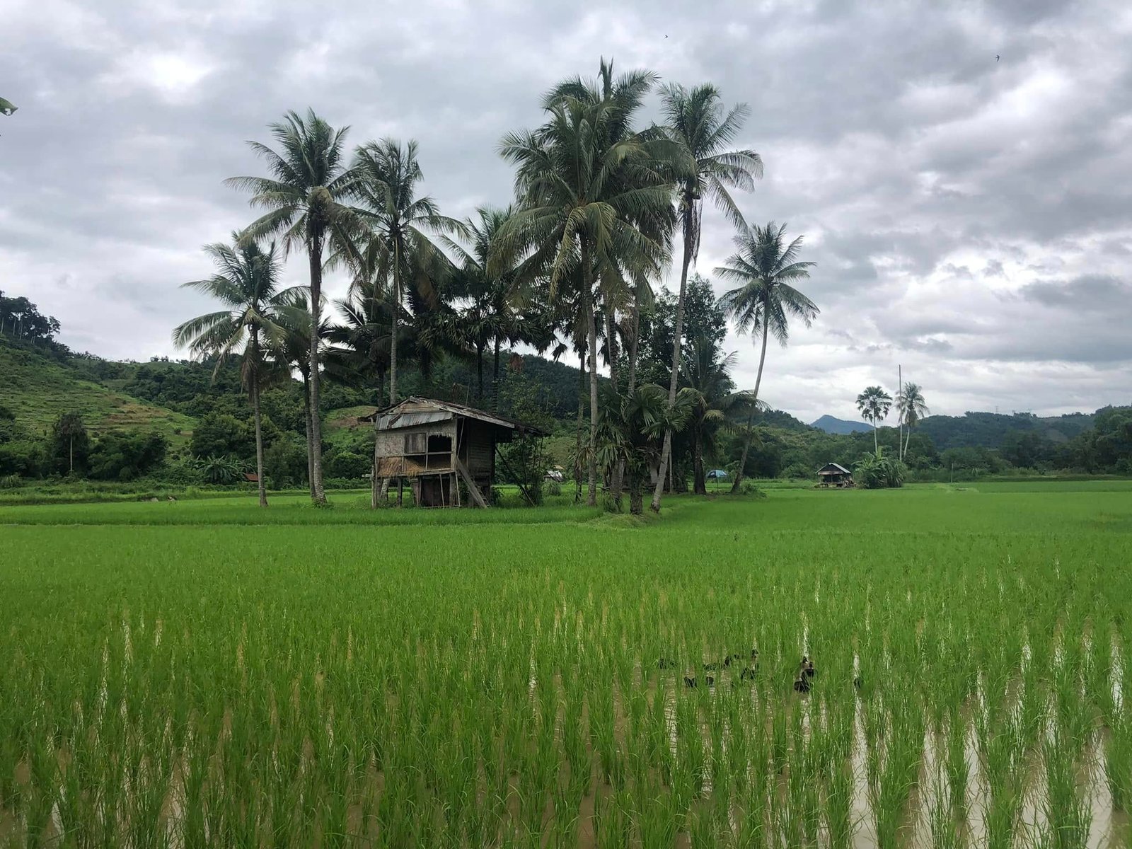 21 Days Explore Northern and Southern Laos By Bike